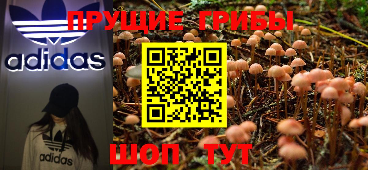 Псилоцибиновые грибы Magic Shrooms  Вход с VPN  Сальск 
